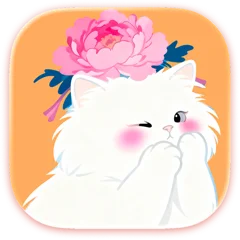 Begleiter cat 4